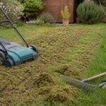 Scarifier sa pelouse : quand, comment, avec quoi (calendrier)