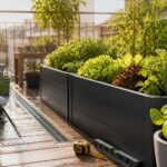 Potager sur balcon ou terrasse : soleil, bacs profonds et erreurs à éviter